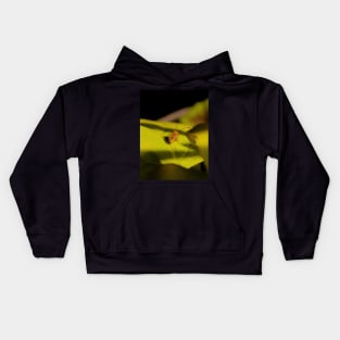 Beetle on a leaf Kids Hoodie